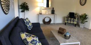 Washington Way Gallery 8