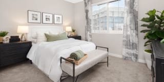 Homecoming at The Resort Apartments Gallery 22