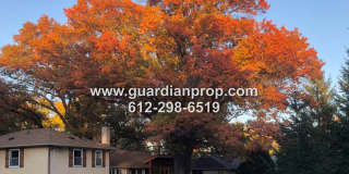 Updated House on Large Corner Lot for September, Attached Garage, Remodeled Kitchen, Amazing 3 Season Porch  & Deck Gallery 28