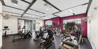 The Ivy Apartment Homes Gallery 13