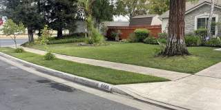 6568 North Cornelia Avenue Gallery 1