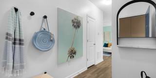 Terra Mar Gallery 15