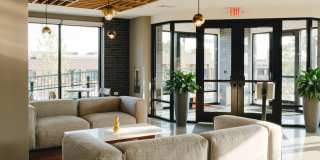 Revelry Gallery 5