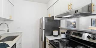 Arlington Heights Gallery 25