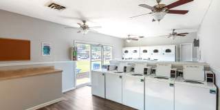 Ashford Place Gallery 39