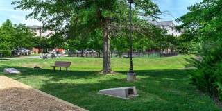The Promenade at Red Apple Town Center Gallery 71