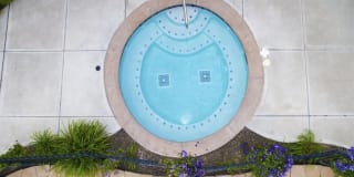 The Crossings at Chapel Hill Gallery 32