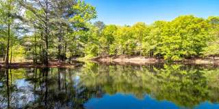 Serene at Woodlake Gallery 13