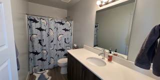 Charming 4 Bd, 2.5 bath in spacious home! Gallery 29
