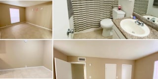 Southern Oaks Gallery 3