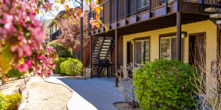 Sierra Sage Apartments Gallery 1