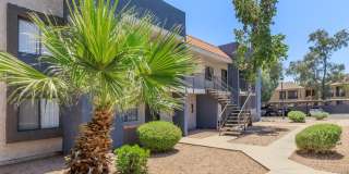 Rise Desert West Gallery 81