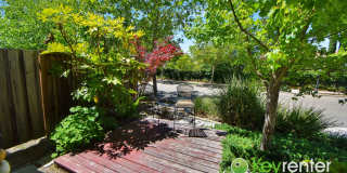 Beautiful 4 Bedroom Windemere Home on Corner Lot Gallery 40