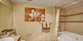 The Artiste Apartment Homes Gallery 8