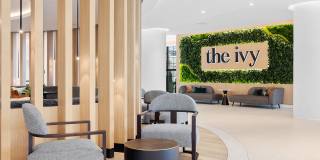 The Ivy Gallery 17