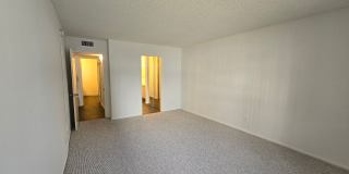 Hillside Terrace Gallery 59