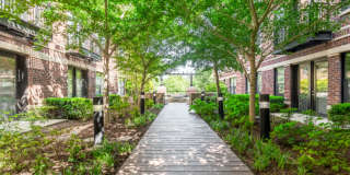 19Nineteen Clarendon Apartments Gallery 34