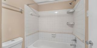 Cozy 2 Bed 1.5 Bathroom in Temple Terrace Gallery 8
