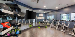 The Garratt Gallery 41