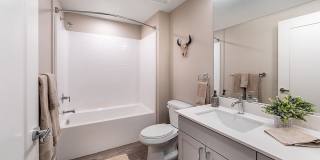 Birchway Tropicana Gallery 41