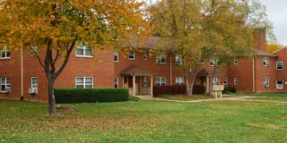 Springfield Gardens Gallery 11