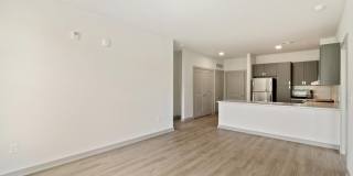 The Belle at the Lamar Gallery 52