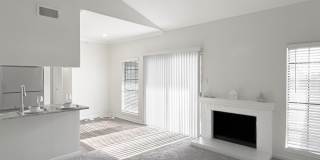 Derby at Steeplechase Gallery 17