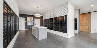 Colina Hillside Gallery 51