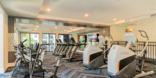 The Whitney Gallery 23