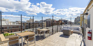 Belvedere Gallery 21