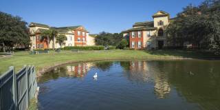 Victoria Place Gallery 35