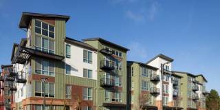 Spencer 68 Gallery 50