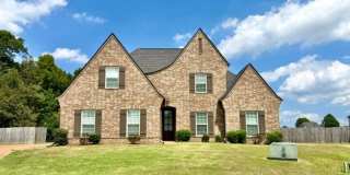 8630 Ainsley cove Gallery 1