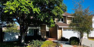 26276 Buscador Gallery 1