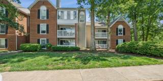 The Timbers Gallery 1