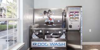 Addison at Cherry Creek Gallery 12