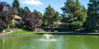 Bellevue Meadows Gallery 32