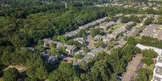 Pear Orchard Gallery 31