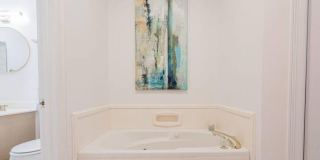204 Student Lane Gallery 22