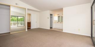 Freshly Painted 2BR/2.5BA Condo with Peak a Boo Ocean View!! Gallery 12