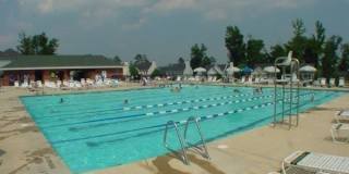 2212 Persimmon Ridge Drive Gallery 5