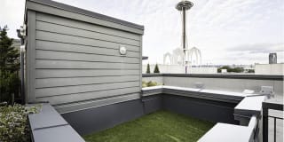 Axis Gallery 36