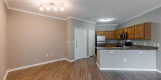 Olympus Las Colinas Gallery 36