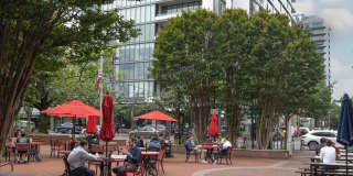 Ellis Bethesda Gallery 24