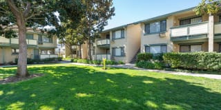 Pebble Creek Gallery 29