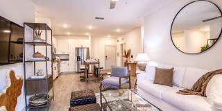 Grand Cypress Gallery 22