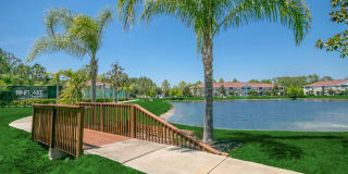 Pine Lake Gallery 28