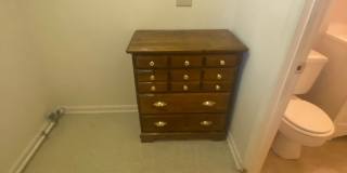 Graduate and Professional Gallery 99