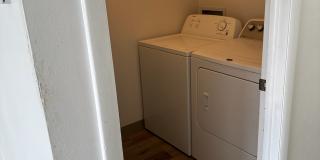 2345 Stace Street Gallery 12