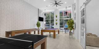 Pinnacle on the Park Gallery 13